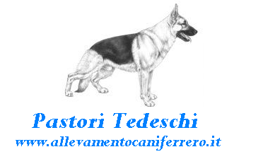 Pastori Tedeschi